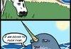 The Origins of the Unicorn