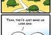 Turtles on the court
