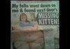 you found what? (channels)