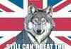 England vs Usa meme