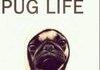Pug Life