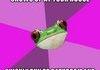 Bachlorette Frog
