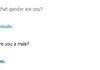 Cleverbot is a transvestite?