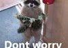 Dont worry