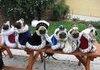 More tea, Your Royal Pugness?