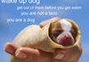 Too cute and funny to skip