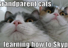 Silly Kittiez