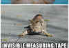 Invisible X