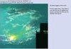 Why I'd never go anywhere but 4chan