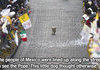 Dog for Pope 2013
