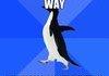 Socially Akward Penguin