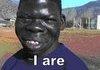 The Niggest