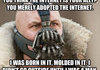 internet bane