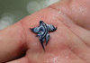 blue sea slug