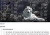 Moon Moon the Werewulf