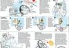 Awesome illusions