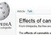 Oh Wiki, you so silly