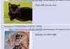 So why do we hate 4chan?
