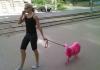 paris hilton designer sheep.