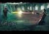 Harry Potter vs. Pepper Spray Cop