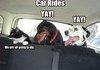 Car Rides