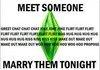 Why the Sims is fun.