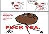 Origin of Red Kool Aid (Revised)