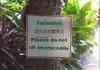 WARNING - About Crocodiles