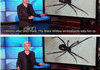 Shit Ellen