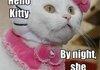 Hello Kitty