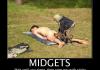 Damn migets