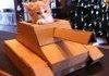 We are doomed (Caturday!)