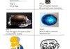 BEST.PRANK.EVER.