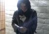 Jacket kitty