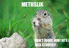 METHSLIK