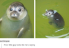It's Adorable