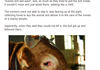 The Crying Bull