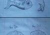 notebook drawing compilation