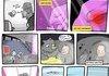 Random Pokecomp