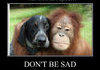 Good friends