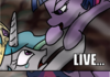 Princess coronation in a nutshell