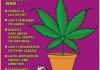 how to know if your a pothead