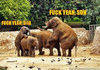 Like Father Like Son