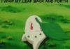 I whip my leaf