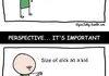 Perspective