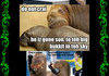 LOLRUS COMPZ