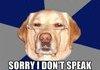 racist dog
