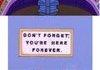 Homer Simpson Feels