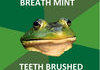 Bachelor Frog