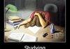 Studying